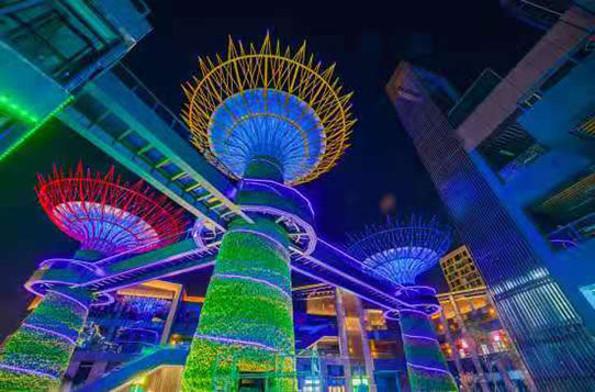 �Lɳꖹ�100���^��